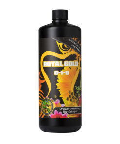 Holland Secret Royal Gold