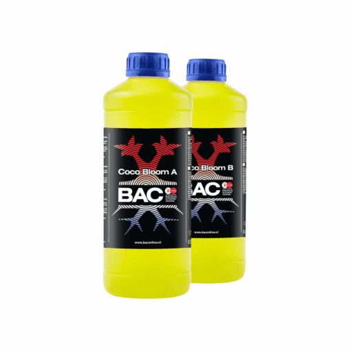 BAC Coco Bloom A&B