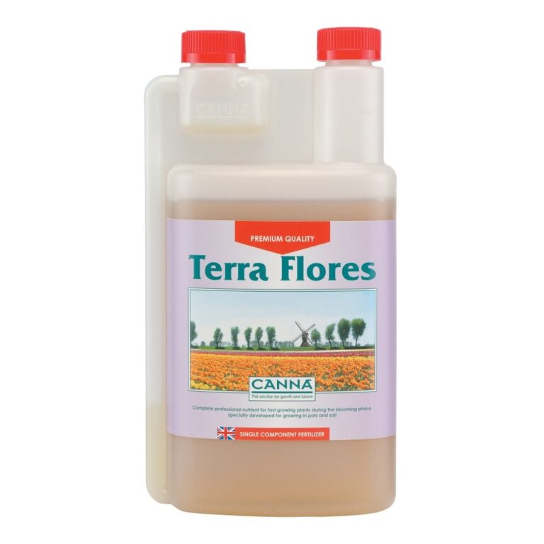 Canna Terra Flores