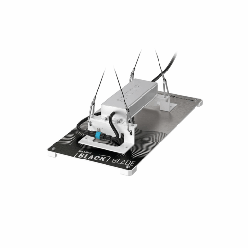 LUMii Black Blade 100W LED - Image 2
