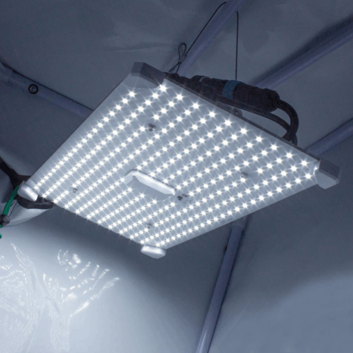 LUMii Black Blade 100W LED - Image 3