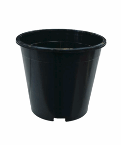 Round Pots