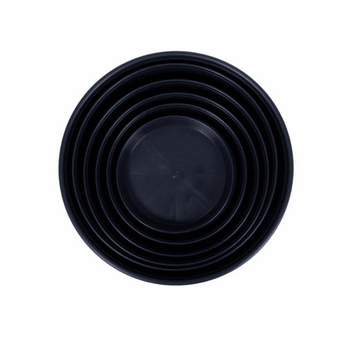 Round Saucers