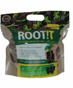 Root It Sponges x 50
