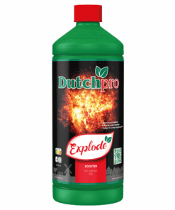 Dutch Pro Explode