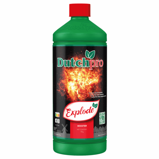 Dutch Pro Explode