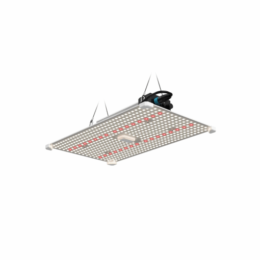 LUMii Black Blade 200W LED