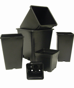 Square Pots