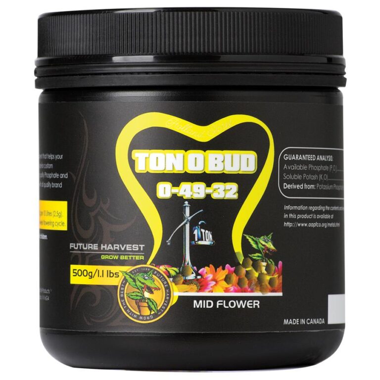 Holland Secret Ton O Bud