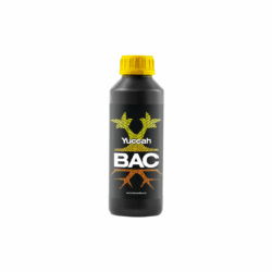 BAC Yuccah