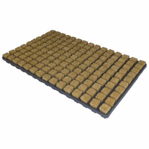 Cultiwool Starter Plugs
