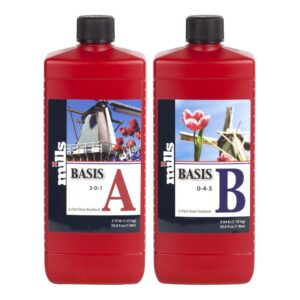 Mills Basis A&B