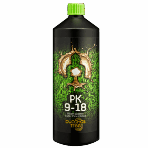 Buddhas Tree PK9-18