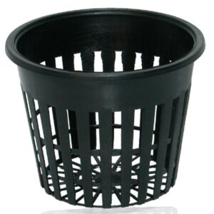 IWS DWC Basket