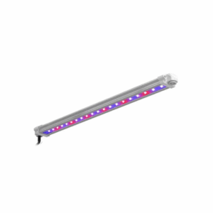 LUMii Black 30W UV/FR LED