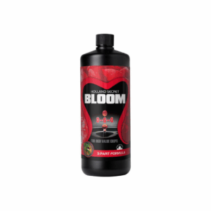Holland Secret Bloom