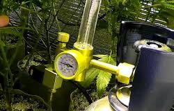 Carbon Dioxide CO2