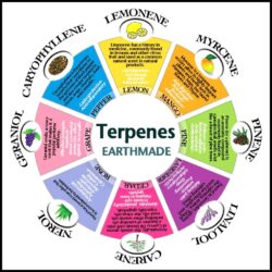 Terpenes