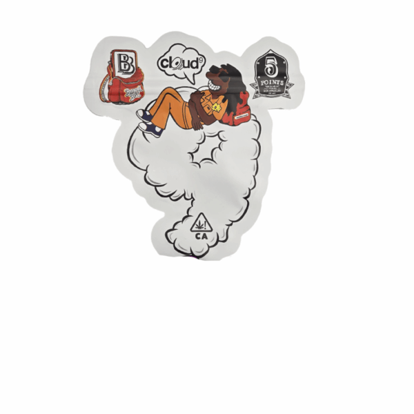CLOUD 9 3.5G MYLAR BAG